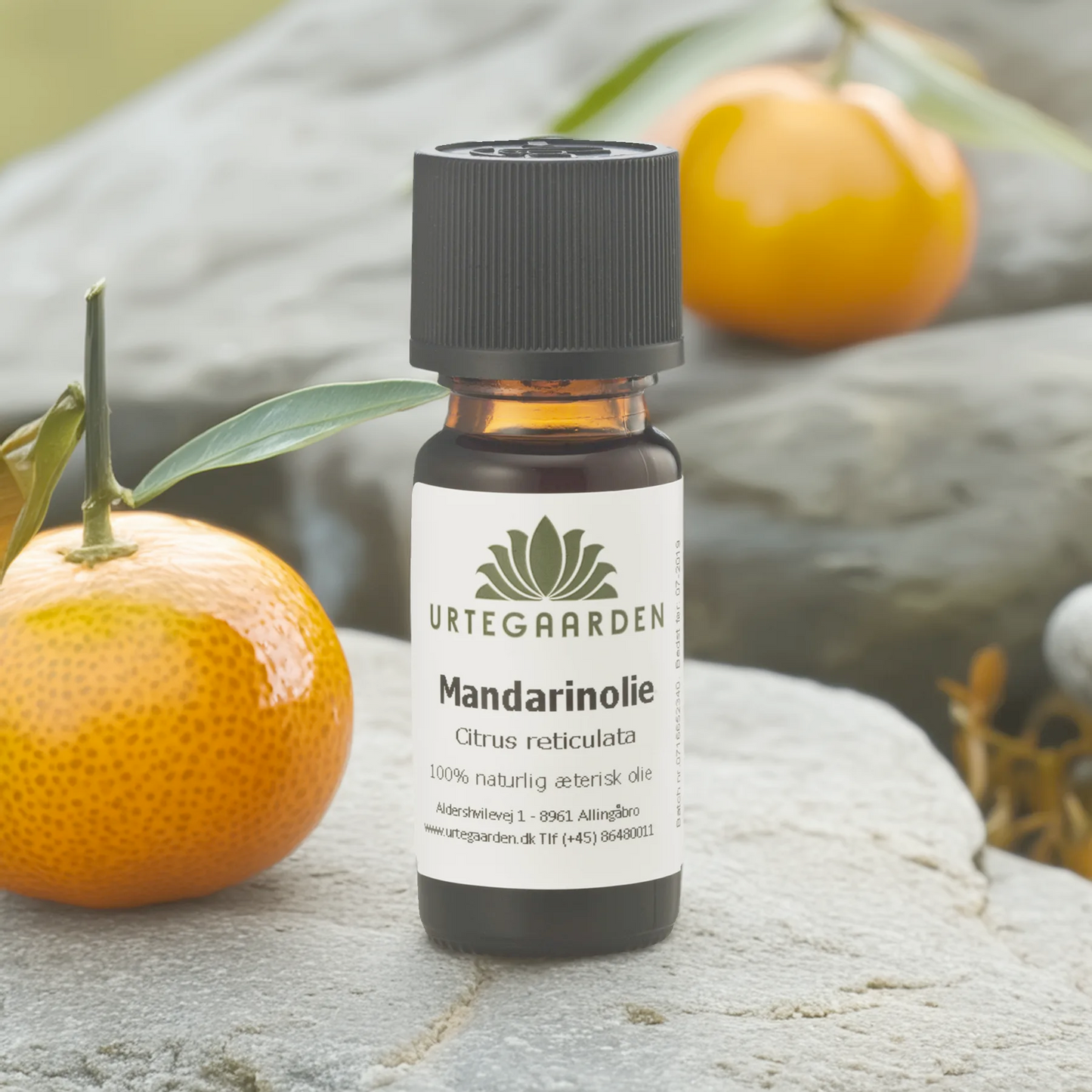 Butchers Heat Essential Oil Mandarin Essential Oil Essential Oils