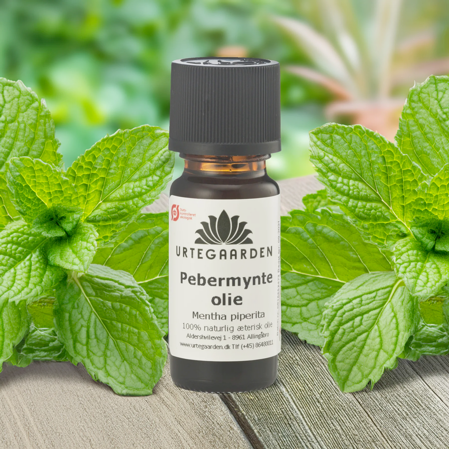 Essential Oils