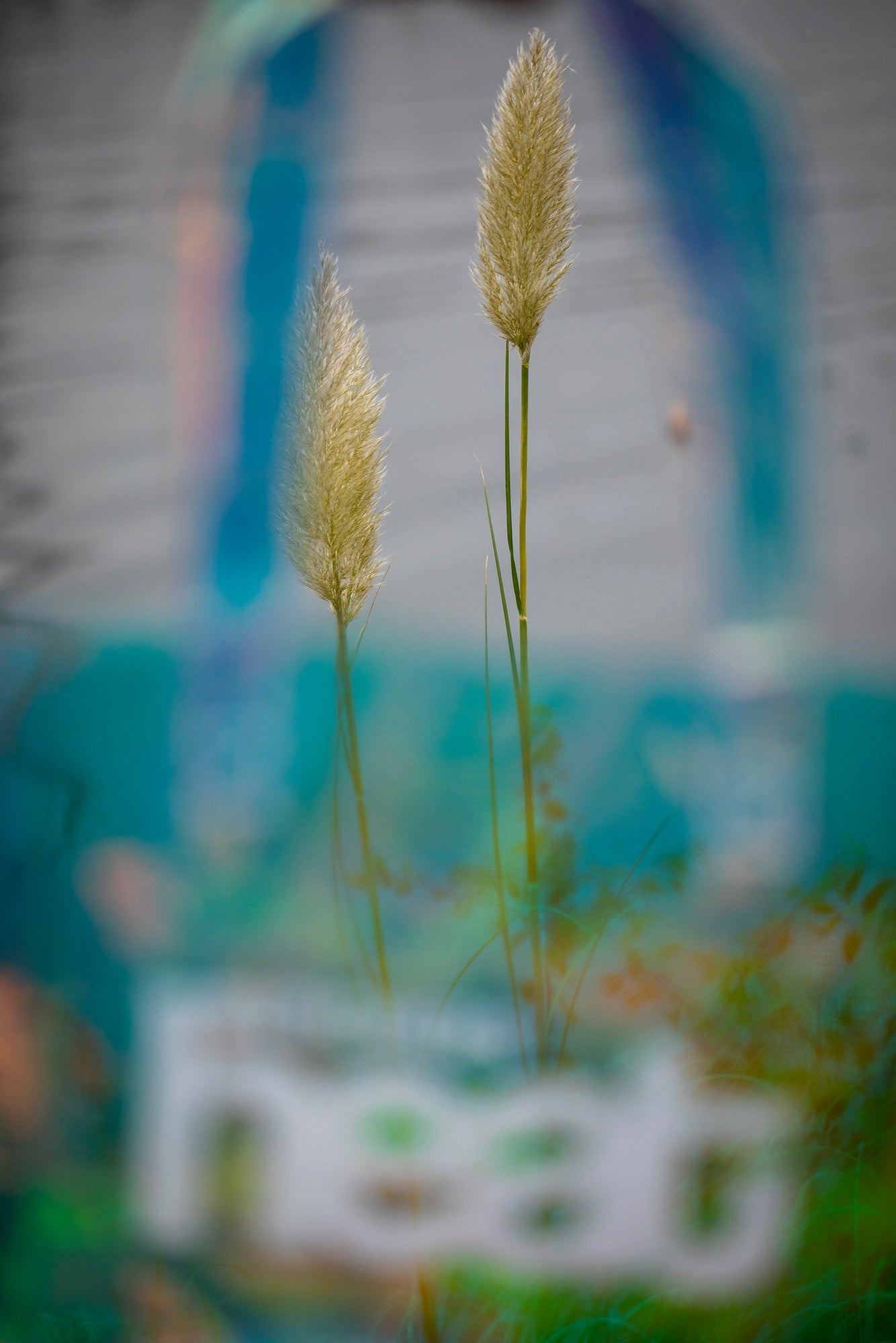 Butchers Heat Butchers Heat ´Rainbow Bag´