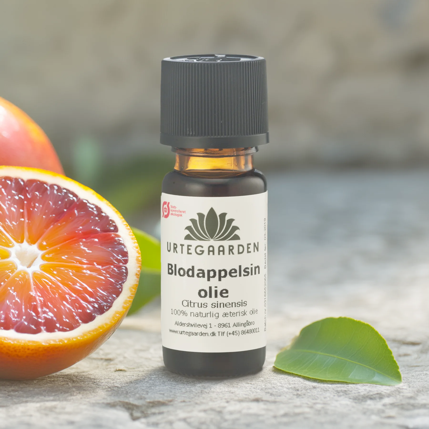 Butchers Heat Essential Oil Bloodorange Essential Oil Essential Oils