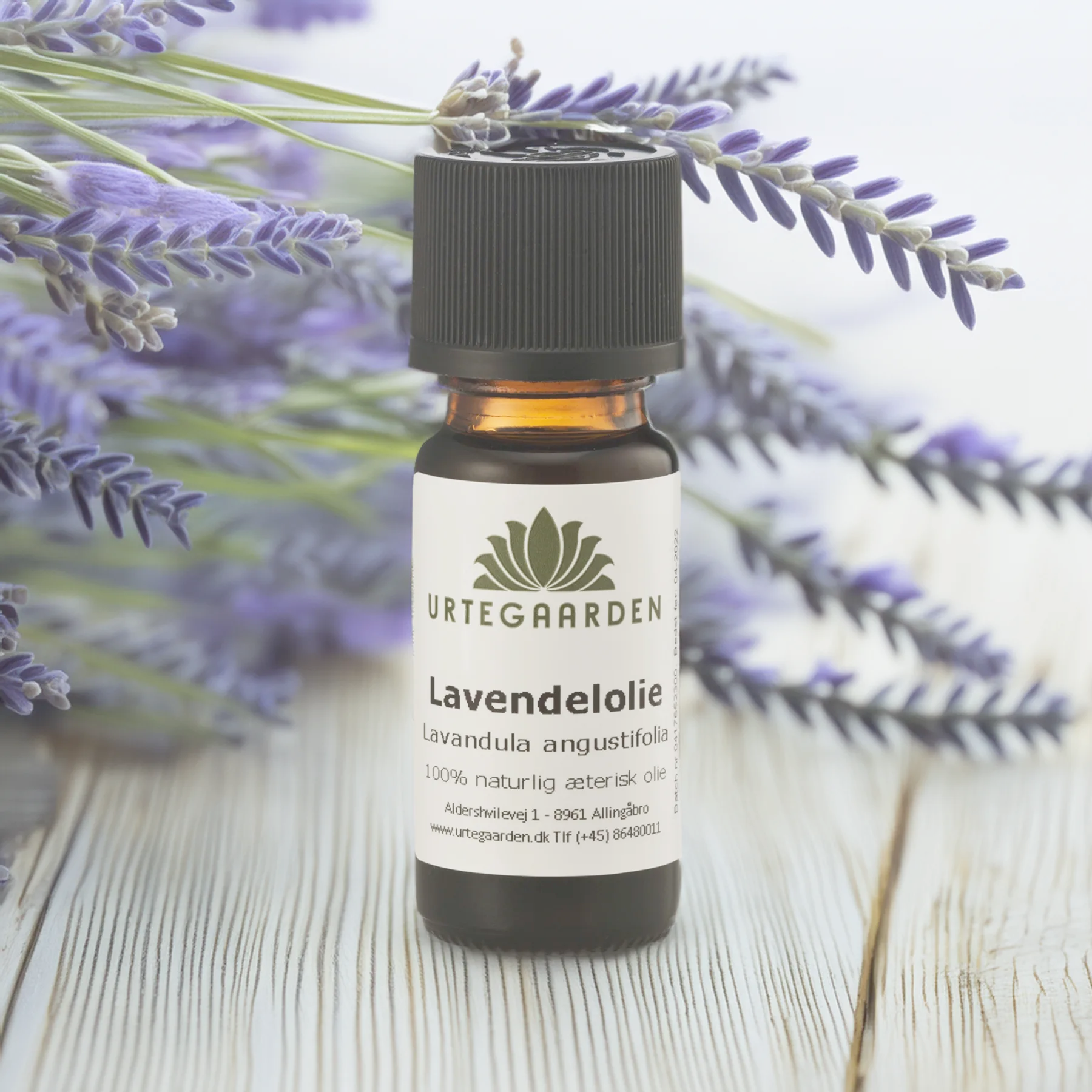 Butchers Heat Essential Oil Lavender Essential Oil Essential Oils