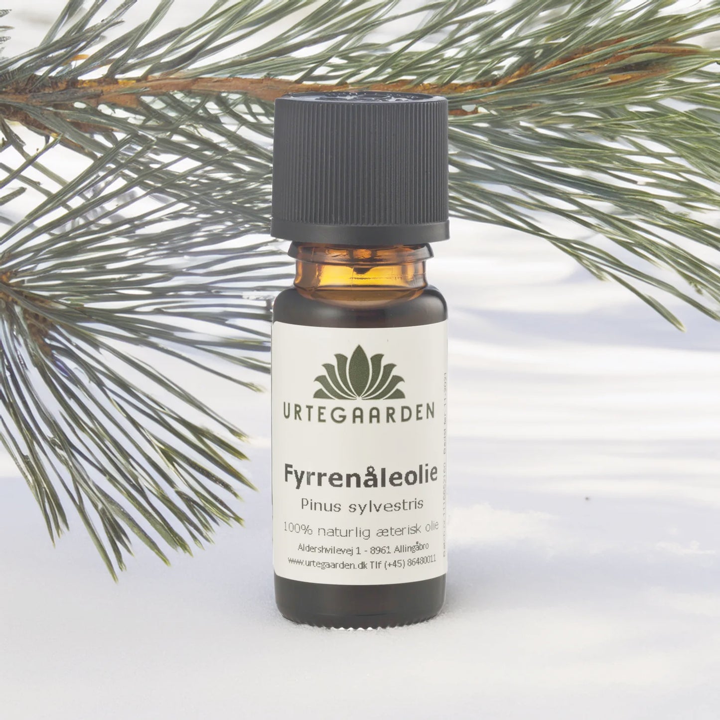 Butchers Heat Essential Oil Pine Needle Essential Oil Essential Oils